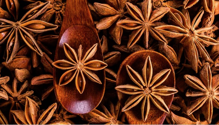 चक्र फूल: स्वाद बढ़ाने वाला और रोगों पर विजय पाने वाला औषधीय खजाना