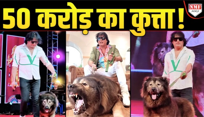 एक हिंदुस्तानी ने खरीदा 50 करोड़ का कुत्ता और 7 एकड़ में बनवाया उसके लिए घर !
