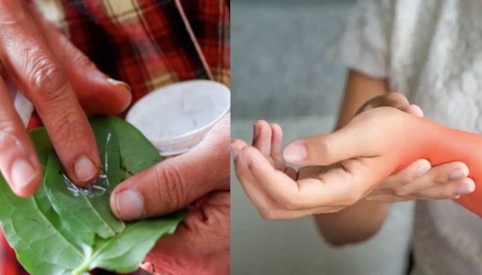 हेल्थ टिप्स: पान के साथ चूना भी है शरीर के लिए फायदेमंद