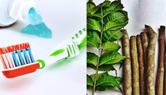 ब्रश भूल जाइए! दातुन से पाएं स्वस्थ दांत, जानिए पूरा आयुर्वेदिक तरीका