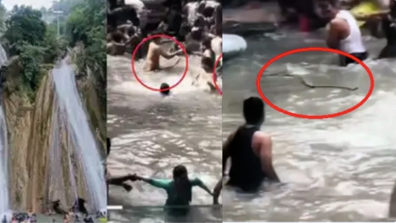 VIDEO: केम्पटी फॉल में मचा हड़कंप, झरने में सांप दिखने से मची अफरातफरी