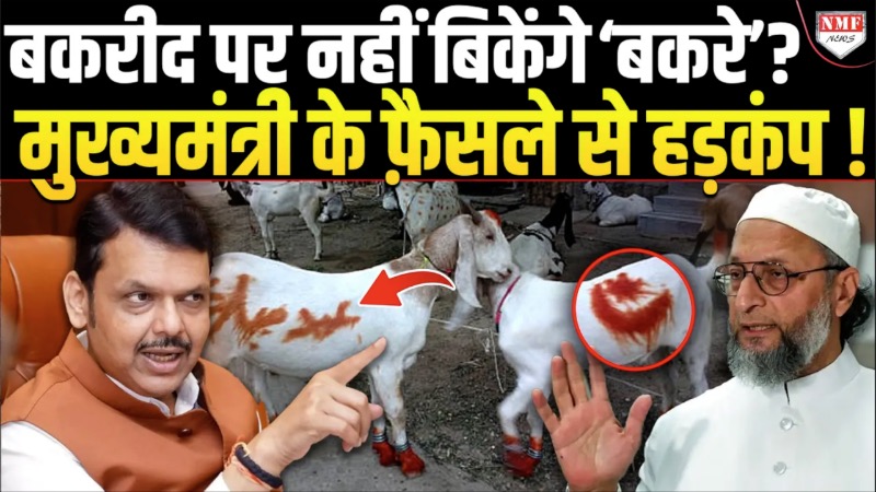 बकरीद पर नहीं बिकेंगे ‘बकरे’ ?मुख्यमंत्री के फ़ैसले से हड़कंप ! AIMIM नेता ने सच बता दिया !