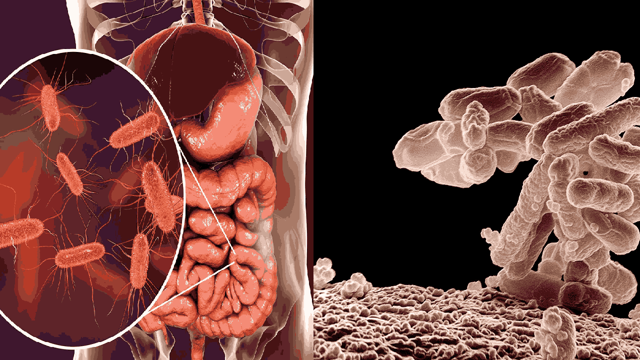 पोर्टेबल डीएनए सीक्वेंसिंग डिवाइस से दवाओं के बेअसर होने की खोज में मिलेगी मदद, स्टडी में दावा
