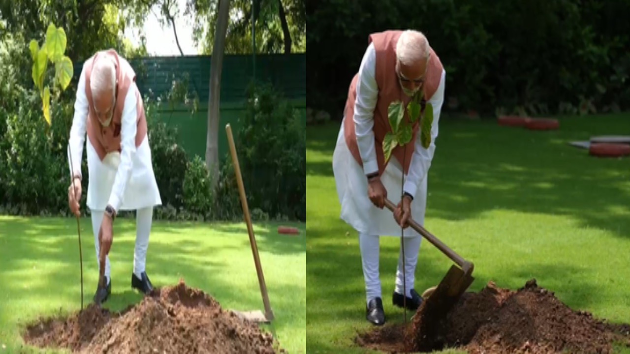 PM Modi ने वादा किया पूरा, कच्छ से मिले सिंदूर के पौधे को अपने आवास में किया रोपित