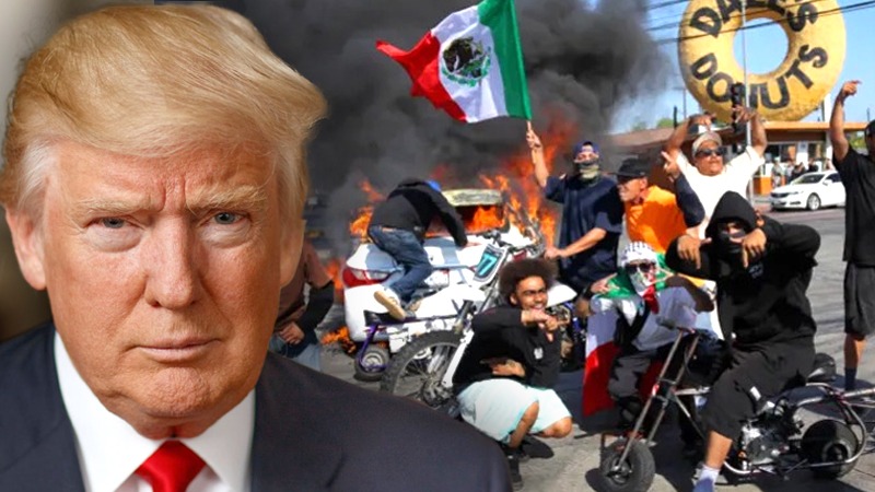 लॉस एंजिल्स में इमिग्रेशन रेड पर बवाल, विरोध को दबाने के लिए ट्रंप द्वारा सेना उतारे जाने पर एक्सपर्ट्स ने उठाए सवाल