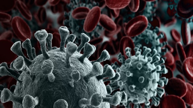 तेजी से फैल रहे Covid-19 के मामले, इम्युनिटी को चकमा देने वाले XFG वैरिएंट ने बढ़ाई चिंता, जानिए एक्सपर्ट्स ने क्या कहा