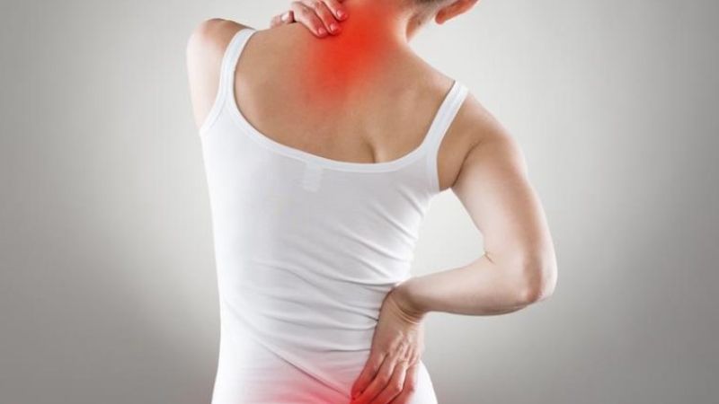 पीठ दर्द से हैं परेशान तो अपनाएं ये आसान उपाय! ऑफिस चेयर पर घंटों बैठने वालों के लिए रामबाण