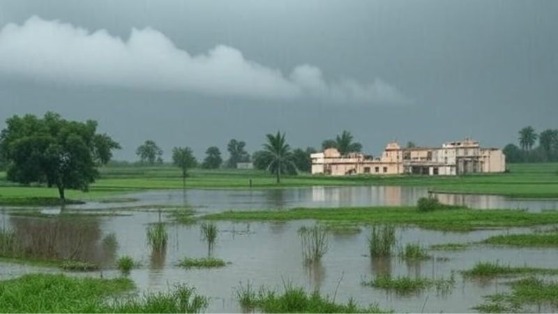 Bihar Weather Today: बिहार के 24 जिलों में मूसलाधार बारिश का ऑरेंज अलर्ट, IMD ने आंधी-तूफान की भी जताई संभावना