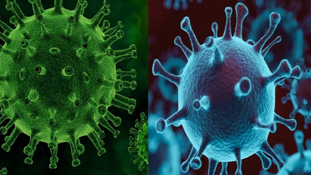 'और विनाशकारी बनकर लौटेगा कोरोना…', मशहूर 'जापानी बाबा वेंगा' की भविष्यवाणी से मचा हड़कंप