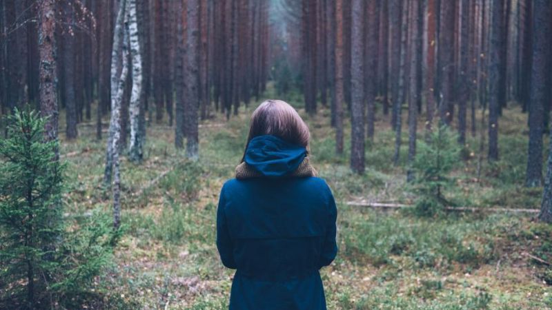 शहर का तनाव छोड़ें, प्रकृति में डूब जाएं! जापान की अनोखी थेरेपी 'फॉरेस्ट बाथिंग' है सेहत का नया मंत्र