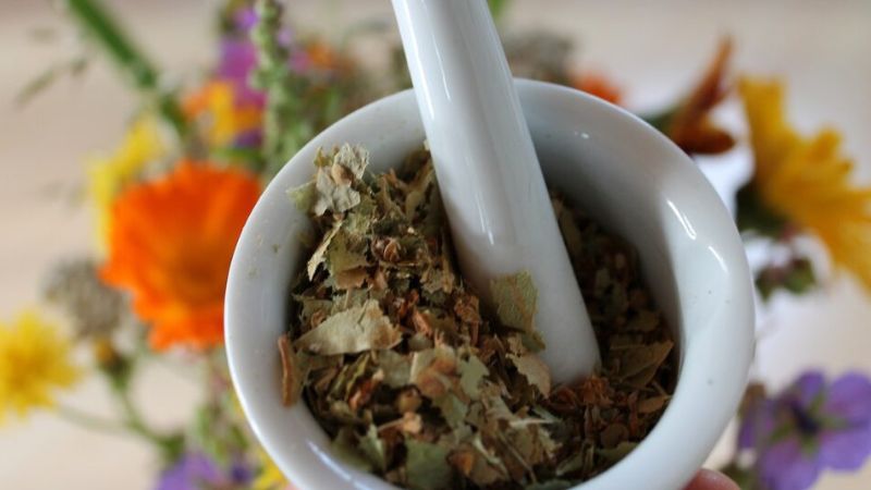 इम्यूनिटी कमज़ोर है? ये जड़ी-बूटियां शरीर को करेंगी रिचार्ज, बढ़ाएंगी रोग प्रतिरोधक क्षमता