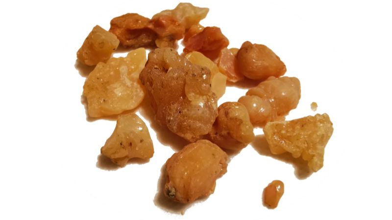 सिर्फ स्वाद नहीं, सेहत का भी ख्याल रखता है हींग...जानें कैसे ये एक मसाला दूर करता है कई बीमारियां