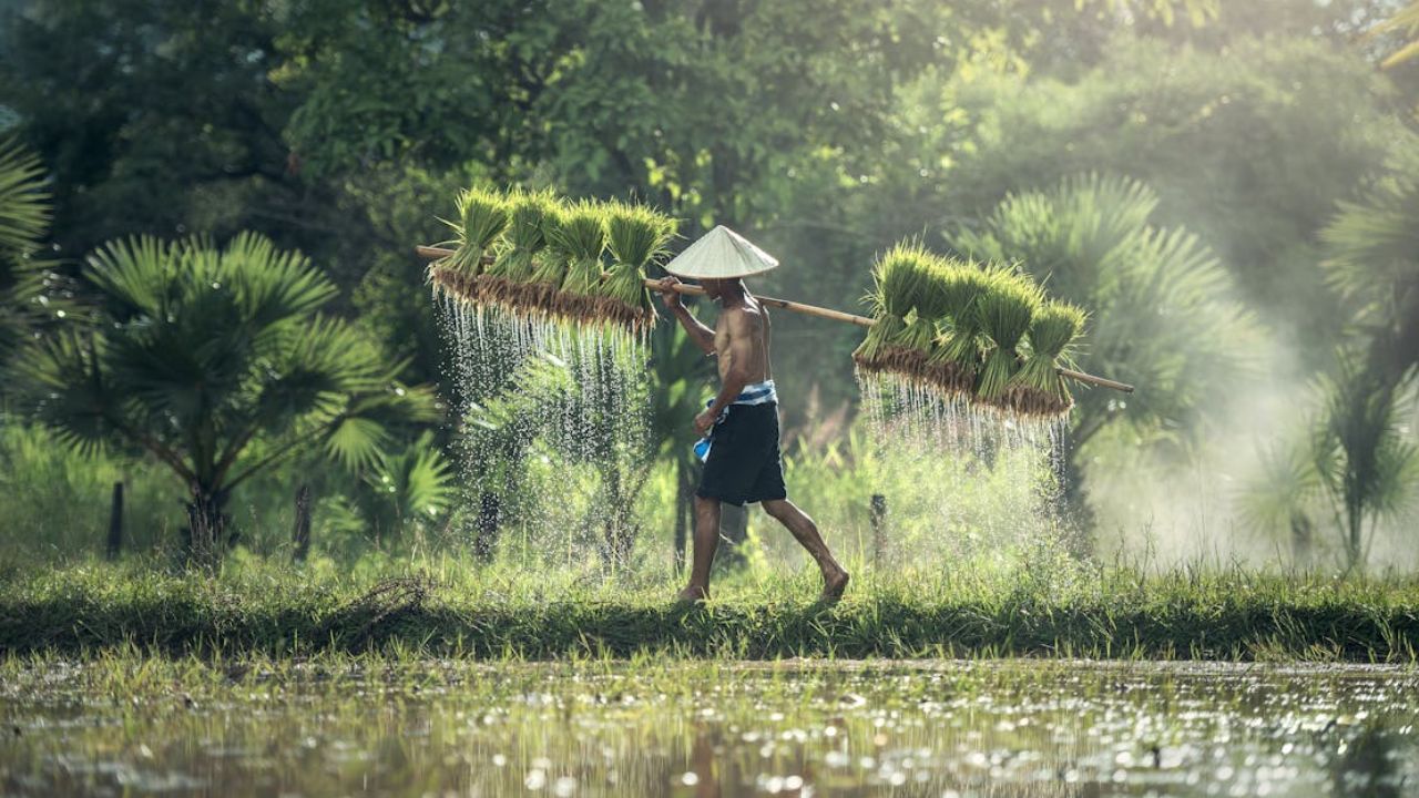 PM Kisan Yojana: बड़ी लापरवाही पड़ सकती है भारी, इन किसानों को नहीं मिलेगी 20वीं किस्त