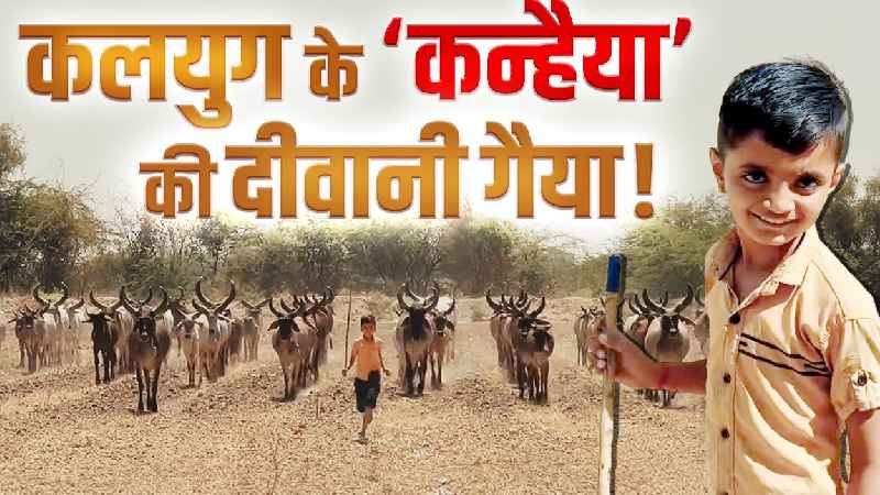 कौन है कलयुग का ‘कन्हैया’, जिसके एक इशारे पर पीछे-पीछे चल पड़ती हैं गाय की फौज ?