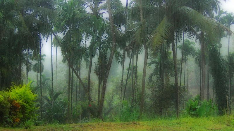 मॉनसून में घूमें भारत की ये शानदार जगहें, प्रकृति की खूबसूरती से हो जाएंगे मंत्रमुग्ध!