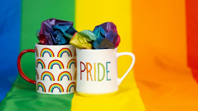 जून में ही क्यों मनाते हैं LGBTQIA+ प्राइड मंथ? जानें स्टोनवॉल दंगों से जुड़ा इसका इतिहास