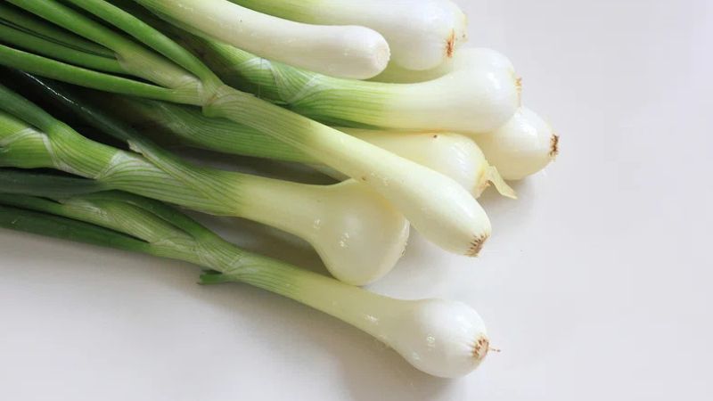 प्याज के पत्ते हैं गुणों की खान! इम्यूनिटी से लेकर हड्डियों तक, मिलते हैं कमाल के फायदे