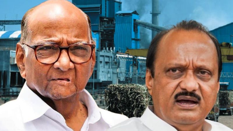 महाराष्ट्र सहकारी चुनाव में अजित पवार ने किया चाचा शरद का सूपड़ा साफ, जीत ली 21 में से 20 सीटें