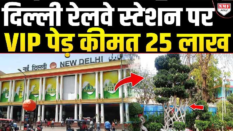 दिल्ली रेलवे स्टेशन पर लगा 25 लाख का पेड़, महीने की खुराक जान रह जाएंगे दंग !