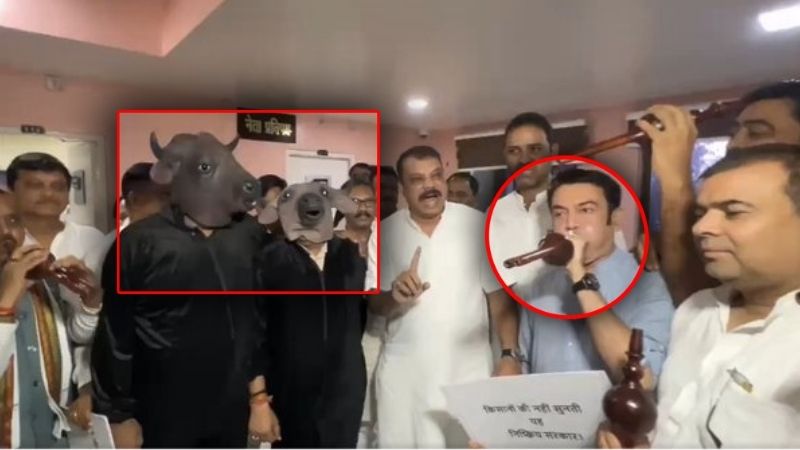 कांग्रेस विधायक बने 'भैंस'... साथियों ने बजाई बीन, MP विधानसभा के बाहर गजब नौटंकी का VIDEO वायरल