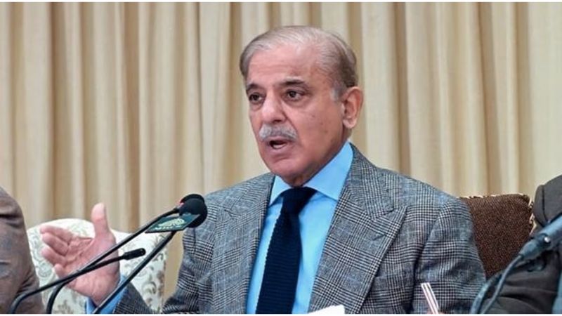 UNSC की अध्यक्षता मिलते ही पाकिस्तान ने दिखाया असली रंग... फिर से शुरू की चालबाजी, भारत ने दिया करारा जवाब