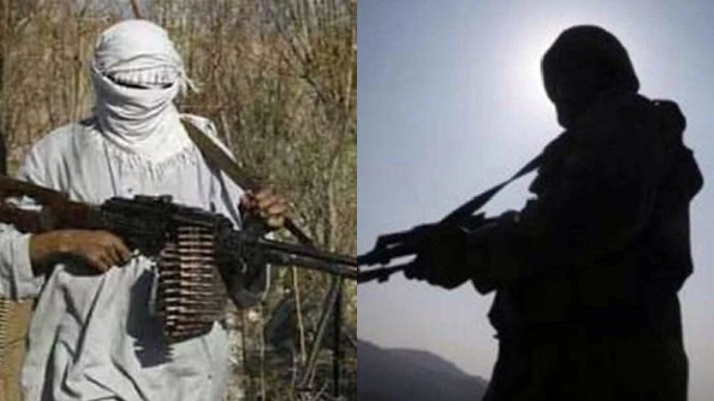 भारत की कूटनीति का बड़ा असर, अमेरिका ने TRF को घोषित किया वैश्विक आतंकी संगठन, पहलगाम हमले का जिम्मेदार ठहराया