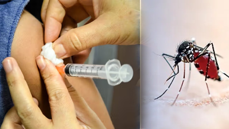 मलेरिया के खिलाफ जंग में बड़ी कामयाबी... भारतीय वैज्ञानिकों ने तैयार की पहली स्वदेशी वैक्सीन, ICMR ने प्रोडक्शन के लिए शुरू की डील