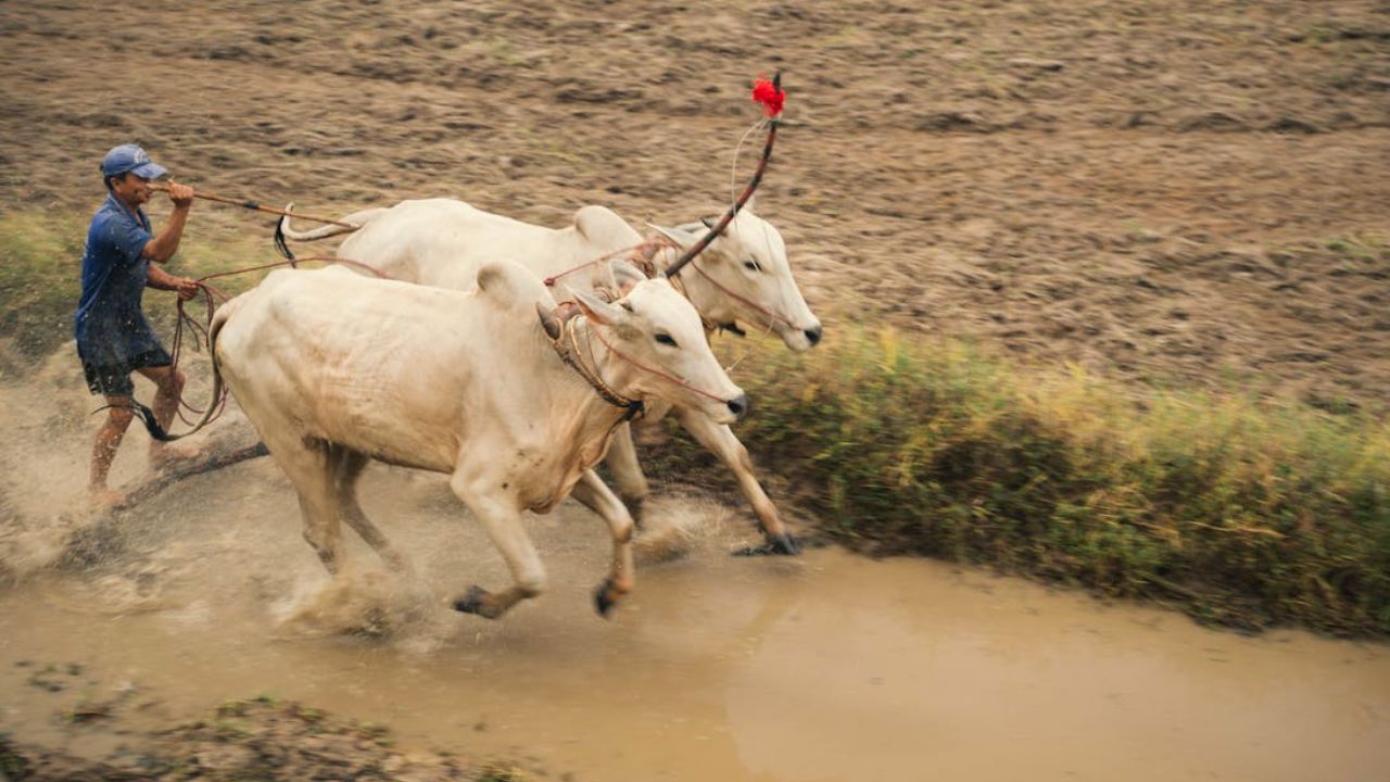 PM Kisan Yojana: 20वीं किस्त से पहले आई बड़ी अपडेट, किसानों को सरकार की सख्त चेतावनी