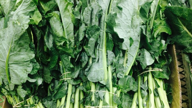 सावन में सेहत का रखें ख्याल! इन चीज़ों को खाने से बचें नहीं तो हो सकता है नुकसान