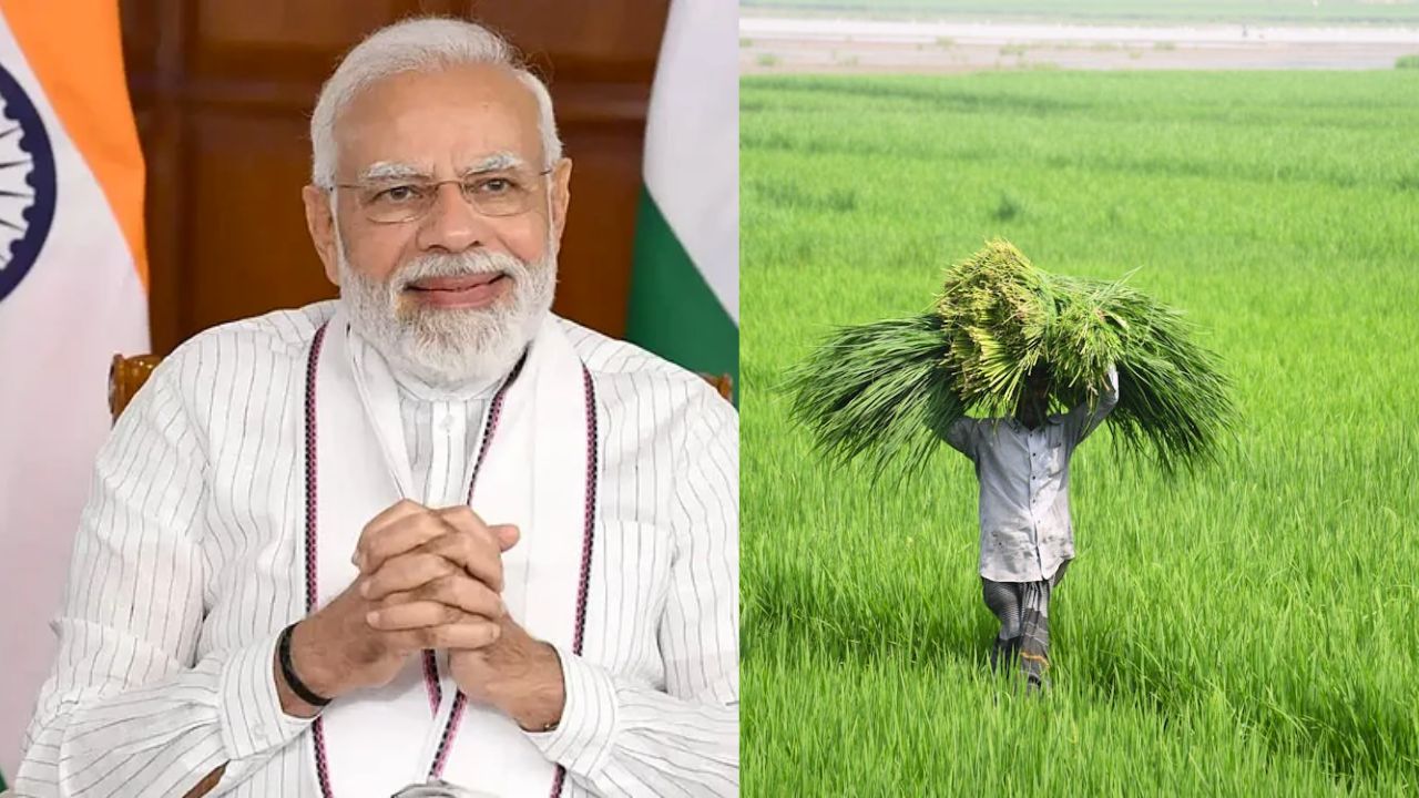 18 जुलाई को किसानों को मिल सकता है तोहफा! PM मोदी ट्रांसफर कर सकते हैं सम्मान निधि की किस्त