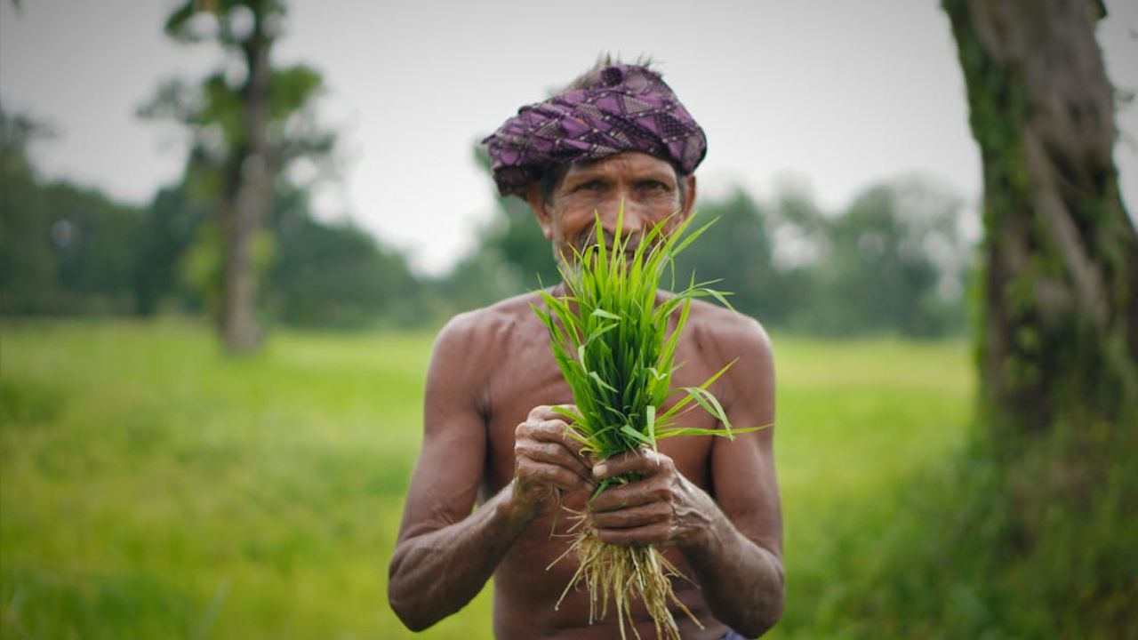 किसानों को मिला सरकार का तोहफा! अब हर साल ₹36,000 पाएं सीधे खाते में