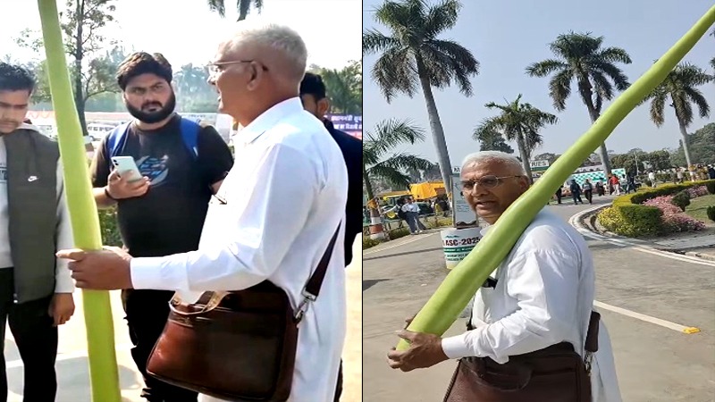 8 फीट की लौकी को ताऊ जी ने बताया भिंडी, लोगों को फुलेरा के प्रधान जी की आई याद, VIDEO वायरल