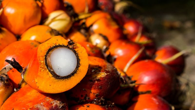 आप भी हो रहे हैं गुमराह? आईएफबीए ने बताया 'नो पाम ऑयल' लेबल का सच, स्वास्थ्य से कोई लेना-देना नहीं!