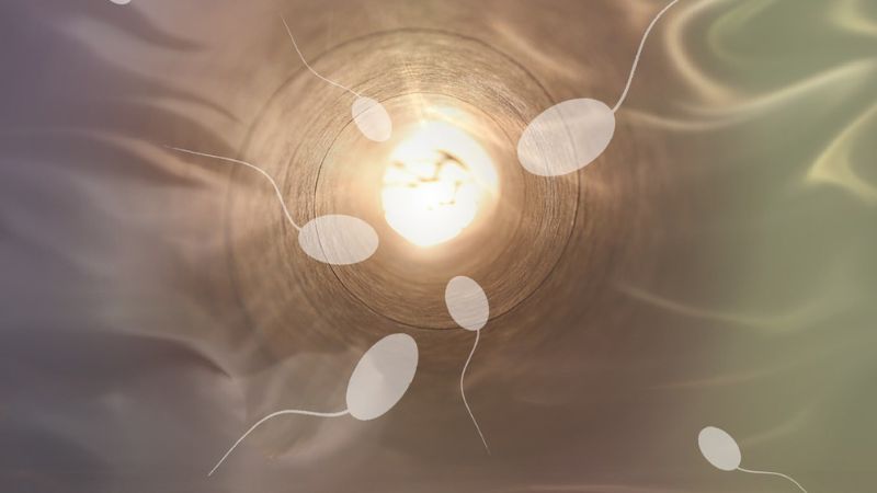 सिंगल पेरेंटहुड से सेम-सेक्स कपल्स तक: क्यों तेज़ी से बढ़ रहा है स्पर्म डोनेशन का ट्रेंड?