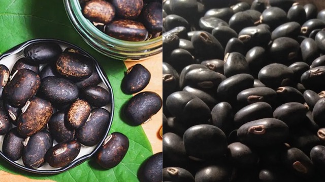 सेक्स की समस्या से जूझ रहे मर्दों के लिए कौंच के बीच वरदान से कम नहीं, लेकिन कुंवारे लड़के रहें इससे दूर!