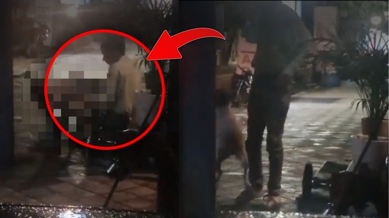 खाने का लालच देकर स्ट्रीट डॉग को बुलाया पास, फिर किया 'गंदा काम'… वीडियो वायरल होने पर मचा बवाल, युवक गिरफ्तार