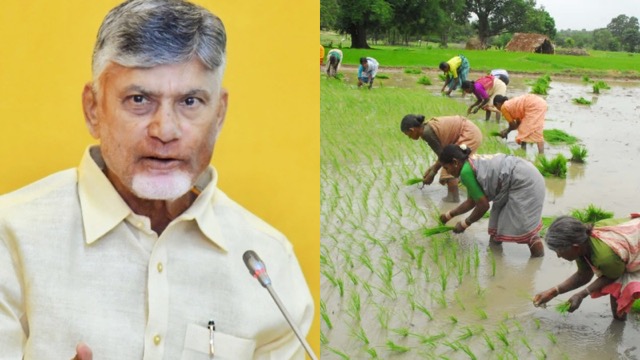 Kisan Yojana: सरकार का बड़ा ऐलान, किसानों को अब ₹7,000 की मिलेगी हर किश्त, जानें पूरी योजना