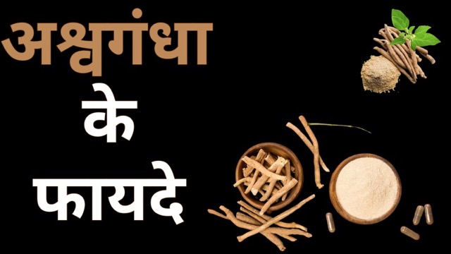 शारीरिक ऊर्जा बढ़ाने से लेकर डायबिटिज तक, सेहत के लिए वरदान है ‘अश्वगंधा’, इन लोगों को बरतनी चाहिए सावधानी