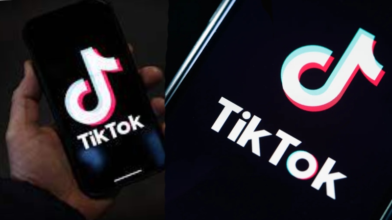 'TikTok से नहीं हटा प्रतिबंध...', भारत सरकार ने किया साफ-साफ खंडन, कहा- अफवाहों पर न दें ध्यान