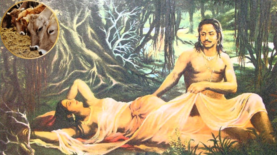 जिनकी जीभ गौमांस के लिए लपलपा रही, दे रहे पूर्ण 'प्रोटीन' होने की दलील, वो एक बार ये पढ़ लें, आखें खुली की खुली रह जाएंगी!