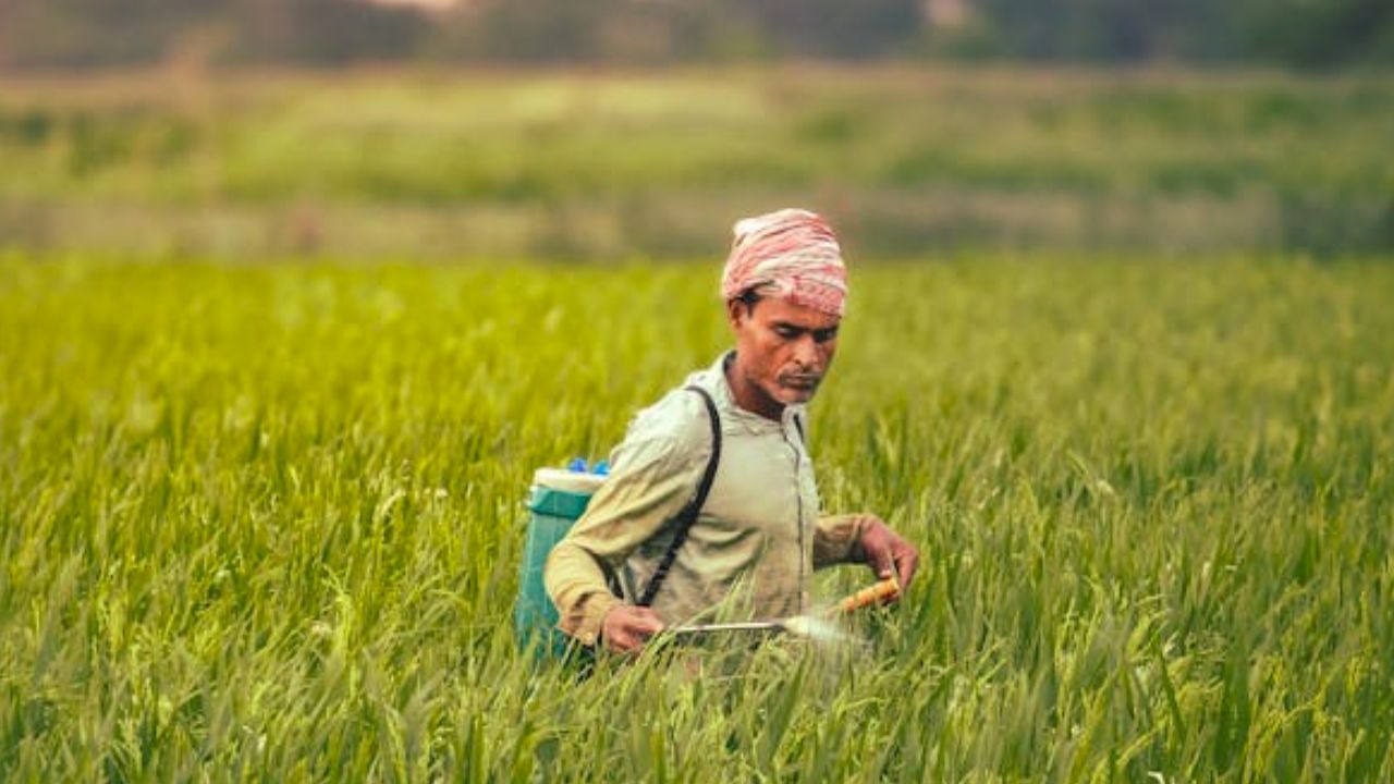 फसल बर्बाद? सरकार ने की मदद, 35 लाख किसानों को मिला मुआवजा, ऐसे करें नाम चेक