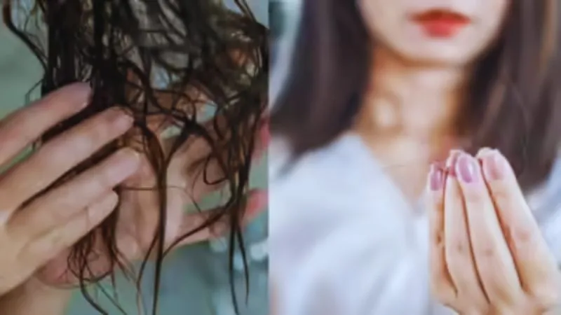 अगर बारिश के मौसम में झड़ रहे हैं बाल, तो जरुर करें ये 3 उपाय, हमेशा के लिए मिल सकता है इस समस्या से छुटकारा!