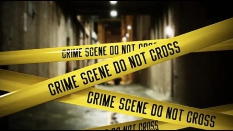 अमेरिका में भारतीय मूल के नागरिक की निर्मम हत्या, पत्नी-बेटे के सामने काट दिया शख्स का गला