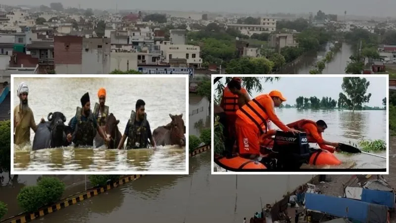 सरकार ने पंजाब को आपदा प्रभावित घोषित किया, 23 जिलों के 1400 गांवों में बाढ़, स्कूल और कॉलेज सब बंद