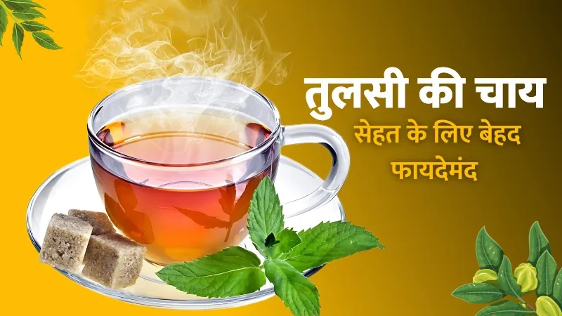 डायबिटीज़ मरीजों के लिए बेस्ट है तुलसी की चाय, रोज सुबह पीने से शुगर के साथ मिलेगा 5 और हेल्थ बेनिफिट्स