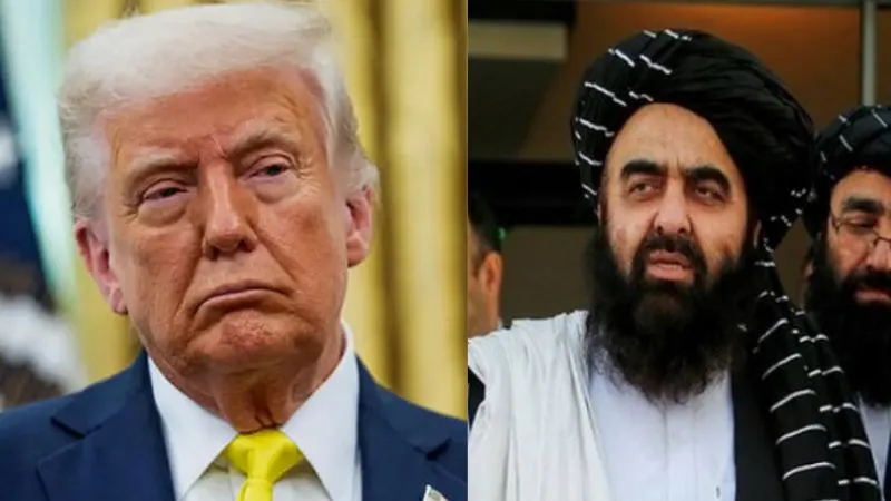 'साफ-साफ सुन लो 1 मीटर जमीन भी नहीं देंगे...', बगराम एयरबेस कब्जाने की बात कर रहे ट्रंप को अफगानी मंत्री ने दी खुली धमकी, सामने आया VIDEO