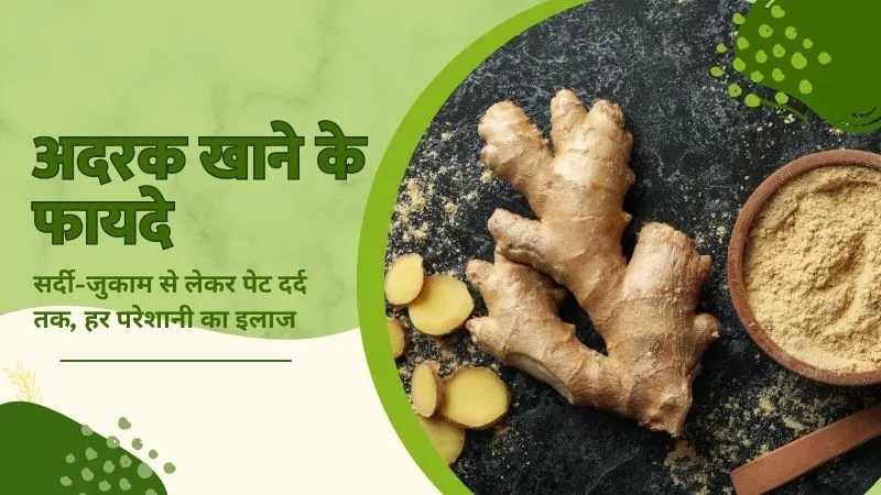 मानसून में सर्दी-जुकाम से लेकर पेट दर्द तक, हर परेशानी का इलाज अदरक