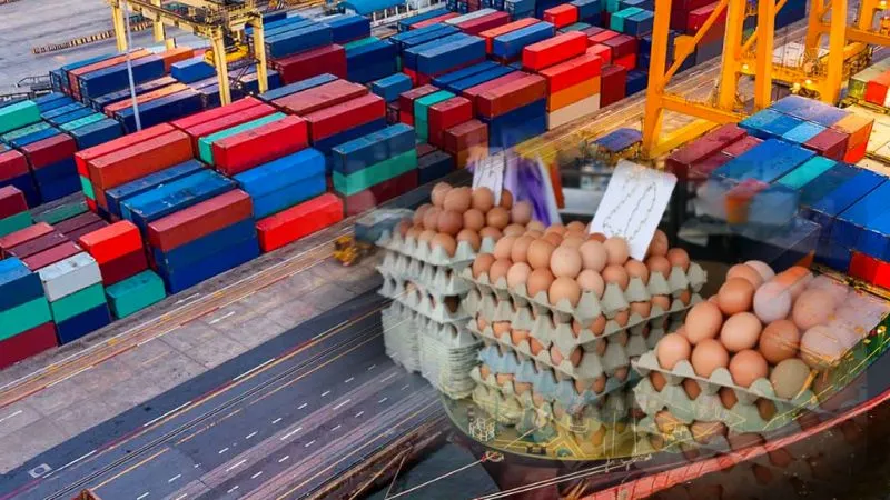 फिर सामने आया ट्रंप का दोगलापन, भारत को दिखाते रहे आंख, उधर अंडे तक भी रूस से मंगा रहे, 'चोर दरवाजे' से करते रहे व्यापार