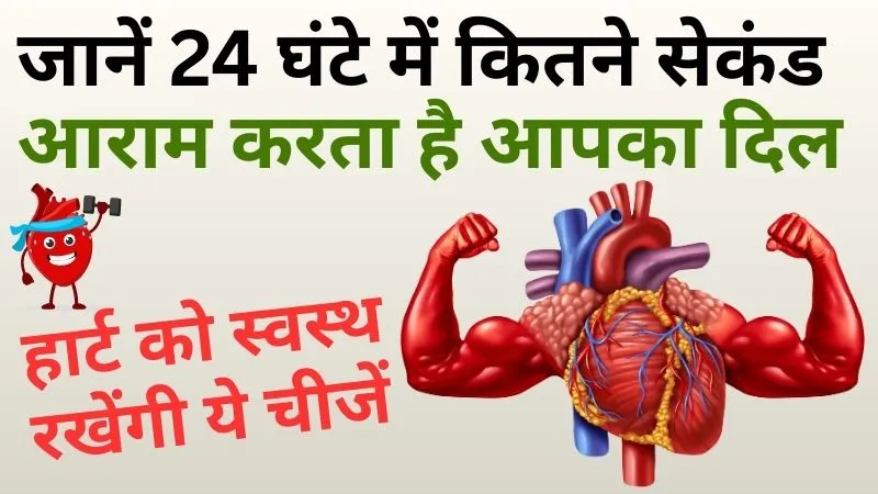 लहसुन से हल्दी तक, हार्ट को स्वस्थ रखेंगी ये चीजें, जानें 24 घंटे में कितने सेकंड आराम करता है आपका दिल