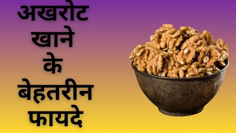 वजन भी घटेगा और दिल भी रहेगा स्वस्थ, याददाश्त होगी तेज, जानिए अखरोट खाने के बेहतरीन फायदे